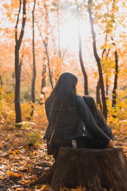 Anne ve kızı sonbahar parkında bir kütükte oturuyorlar. Tek ebeveyn ve sezon konsepti.