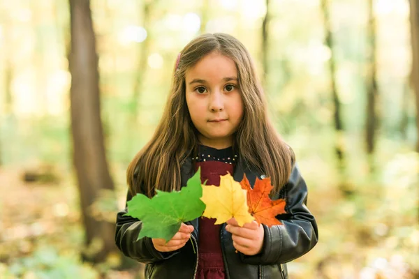 Niña sostiene un ramo de hojas de otoño en sus manos en temporada de otoño —  Fotos de Stock