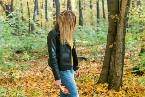 A menina segura folhas caídas e caminha no parque de outono. Conceito sazonal. — Fotografia de Stock