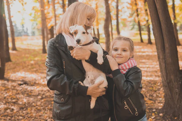 Nagymama az unokájával az őszi parkban, egy lány ölelgeti a nagymamát és a Jack Russell terrier kutyáját. Generációk, kedvtelésből tartott állatok és család fogalma. — Stock Fotó