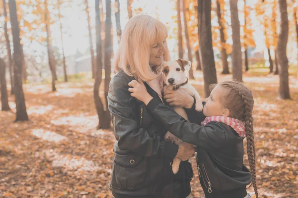 Mormor med barnbarn i höstparken, flicka kramande mormor och hennes jack russell terrier hund. Generationer, sällskapsdjur och familj. — Stockfoto