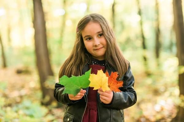 Menina asiática rindo e brincando no outono na natureza andar ao ar livre — Fotografia de Stock