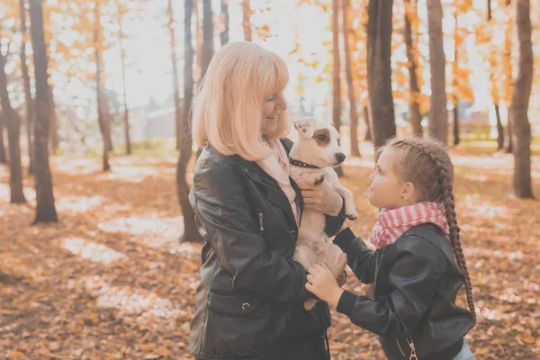 Abuela con nieta en el parque de otoño, niña abrazando a la abuela y su gato russell terrier perro. Generaciones, mascotas y concepto familiar. —  Fotos de Stock