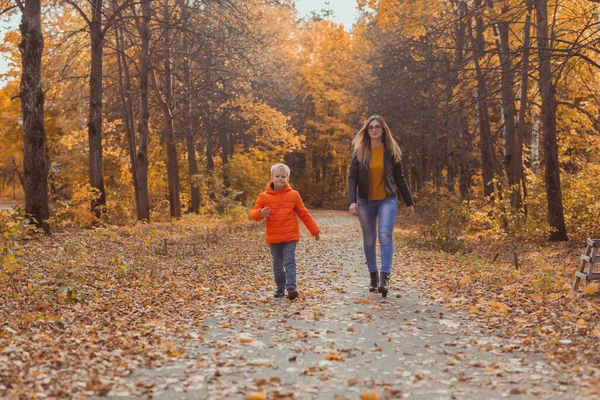 Mãe e filho caminhando no parque de outono e desfrutando da bela natureza do outono. Temporada, pai solteiro e filhos conceito. — Fotografia de Stock