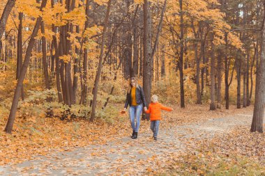 Anne ve oğlu sonbahar parkında yürüyor ve güzel sonbahar doğasının tadını çıkarıyorlar. Sezon, yalnız ebeveynler ve çocuklar konsepti.