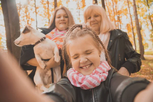 Three generations of women and dog feel fun look at camera posing for self-portrait picture together, funny excited child, mom and grandmother have fun enjoy weekend take selfie on gadget in autumn