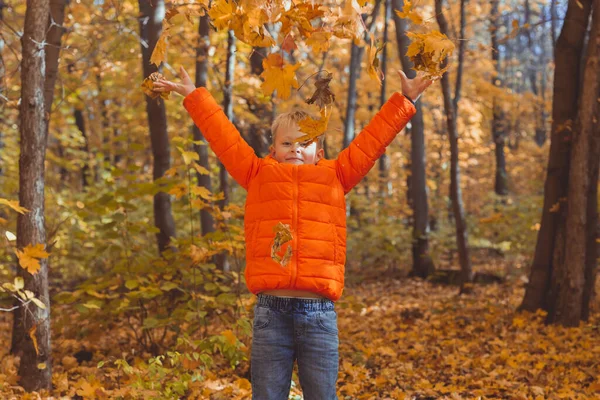 Pojken spyr upp fallna löv på en bakgrund av höstlandskapet. Barndoms-, fall- och naturbegrepp. — Stockfoto