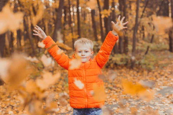 El muchacho arroja las hojas caídas sobre el fondo del paisaje otoñal. Concepto de infancia, caída y naturaleza. —  Fotos de Stock