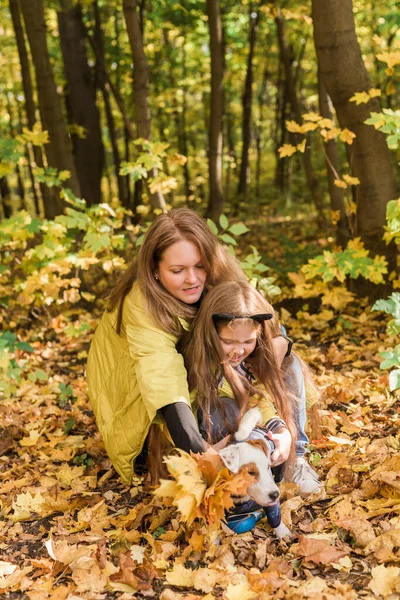 Matka a dcerka chodí se svým psem Jackem Russellem teriérem v podzimním počasí. Stylová dcerka a její matka. Šťastné dětství. Venku portrét šťastné rodiny. — Stock fotografie