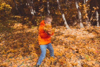 Çocuk sonbahar manzarasının arka planına düşen yaprakları fırlatıyor. Çocukluk, sonbahar ve doğa kavramı.