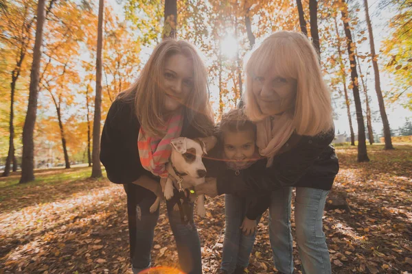 Tres generaciones de mujeres y perros se sienten divertidos mirar a la cámara posando para la imagen de autorretrato juntos, divertido niño emocionado, mamá y la abuela se divierten disfrutar de fin de semana tomar selfie en gadget en otoño —  Fotos de Stock