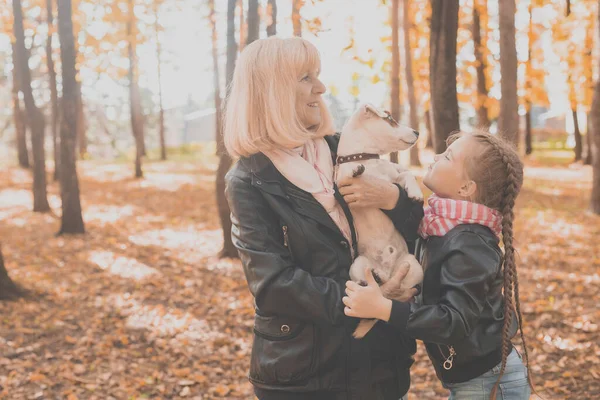 Abuela con nieta en el parque de otoño, niña abrazando a la abuela y su gato russell terrier perro. Generaciones, mascotas y concepto familiar. —  Fotos de Stock