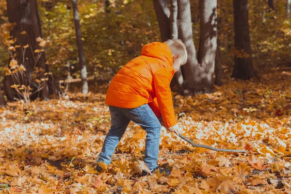 Liten pojke leker med käpp och fallna löv i skogen på höstdagen. Höstsäsong, barndoms-och utomhusspel koncept. — Stockfoto