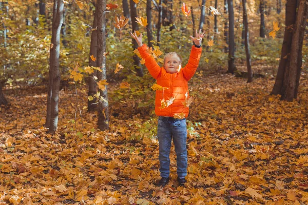 Pojken spyr upp fallna löv på en bakgrund av höstlandskapet. Barndoms-, fall- och naturbegrepp. — Stockfoto