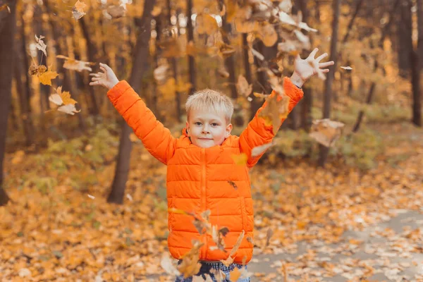 El muchacho arroja las hojas caídas sobre el fondo del paisaje otoñal. Concepto de infancia, caída y naturaleza. —  Fotos de Stock