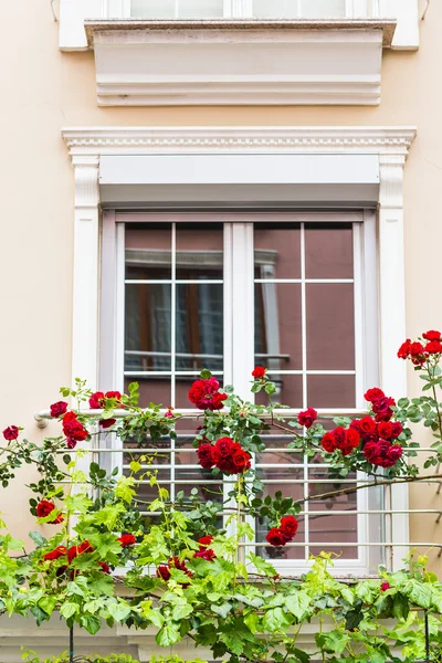 Παράθυρο με τριαντάφυλλα — Φωτογραφία Αρχείου