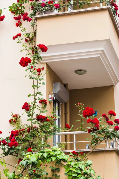 Balcony with roses — Stock Photo, Image