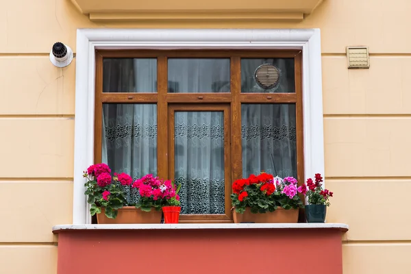 Okno z różami — Zdjęcie stockowe