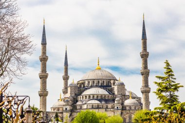 istanbul'da cami