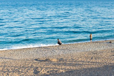 Kumsaldaki insanlar.