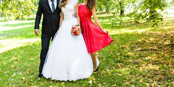 Novia y novio con damas de honor — Foto de Stock