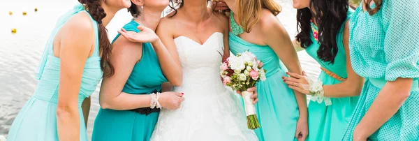 Bruid en bruidsmeisjes — Stockfoto