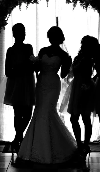 Silhouette de la mariée et du marié — Photo