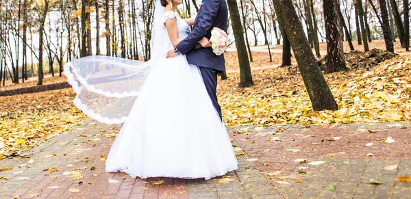 Pareja de boda en el parque —  Fotos de Stock