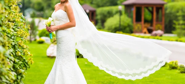 Braut mit fliegendem langen Schleier — Stockfoto