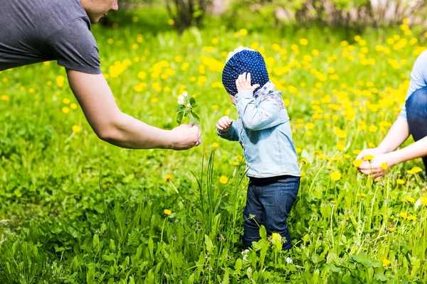 함께 시간을 보내고 행복 한 젊은 가족 — 스톡 사진