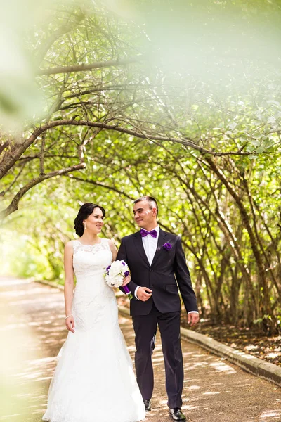 Noiva e noivo no dia do casamento caminhando ao ar livre na natureza outono . — Fotografia de Stock