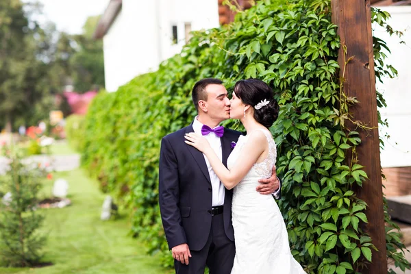 Noiva e noivo no dia do casamento caminhando ao ar livre na natureza outono . — Fotografia de Stock