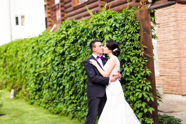 Braut und Bräutigam am Hochzeitstag beim Wandern in der herbstlichen Natur. — Stockfoto