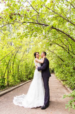 Gelin ve damat sonbahar doğa üzerinde açık havada yürüyüş gün düğününde. 