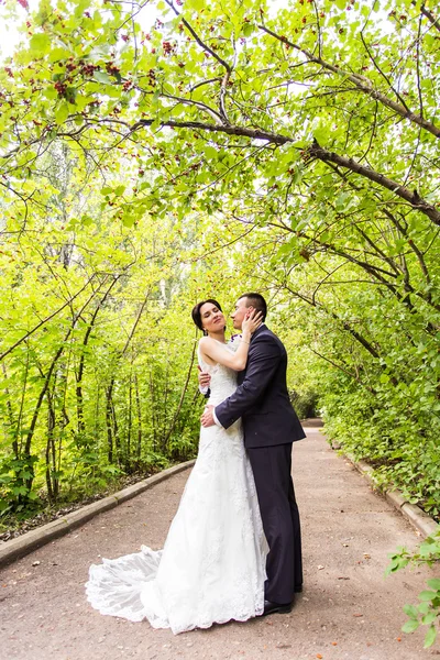 Menyasszony és a vőlegény az esküvő nap séta kint az őszi természet. — Stock Fotó