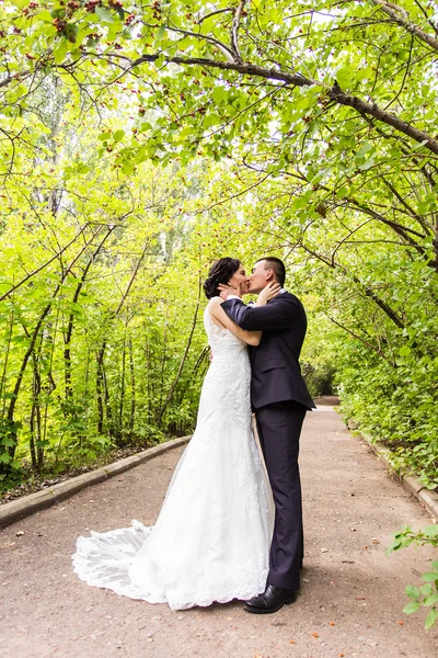 Νύφη και γαμπρός στο γάμο ημέρα περπάτημα σε εξωτερικούς χώρους σε φθινοπωρινή φύση. — Φωτογραφία Αρχείου