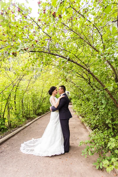 Noiva e noivo no dia do casamento caminhando ao ar livre na natureza outono . — Fotografia de Stock