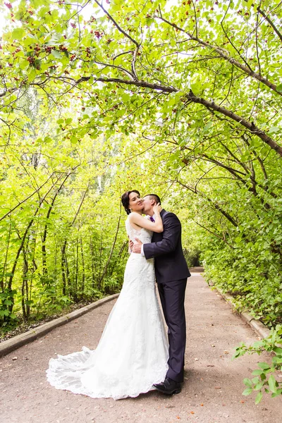 Bride and Groom at wedding Day walking Outdoors on autumn nature. — Stock Photo, Image