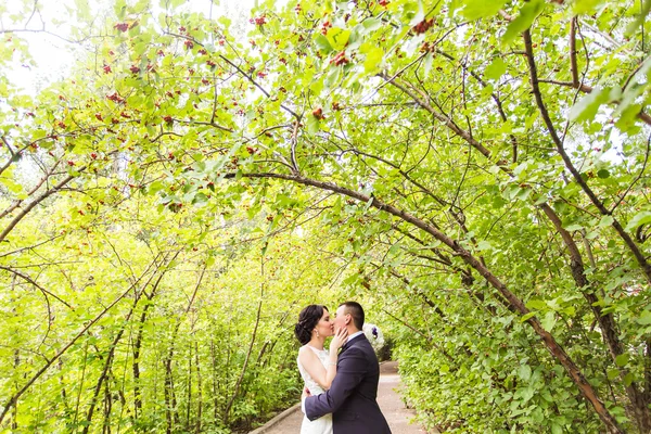 Noiva e noivo no dia do casamento caminhando ao ar livre na natureza outono . — Fotografia de Stock