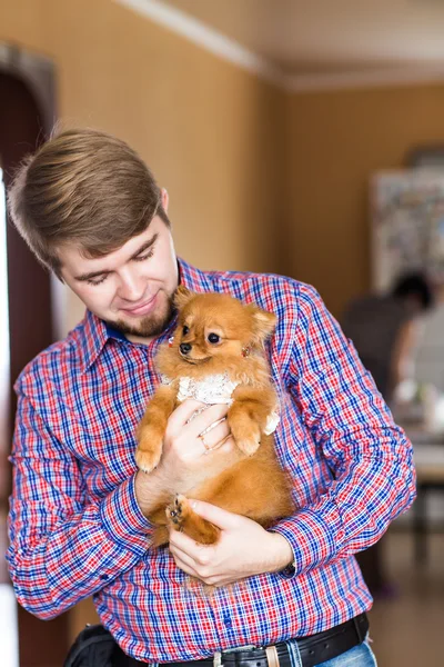 Niedlicher reinrassiger Chihuahua und junger Mann — Stockfoto