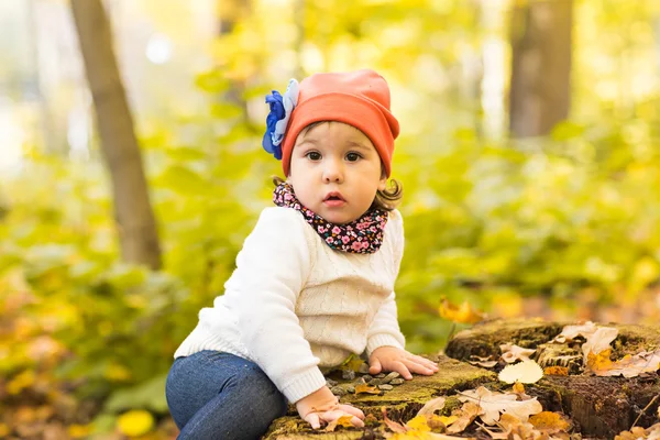 Glad liten flicka på en stubbe i skogen i höst park — Stockfoto