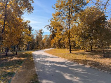 Altın sonbahar ağaçları ve düşen yapraklar arasında kıvrılan güneşli bir park yolu. Sakin bir öğleden sonra yürüyüşü sırasında mevsimsel değişim, doğal uyum ve huzur dolu bir yansıma.