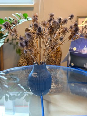 Cam masadaki mavi vazoda kurumuş devedikeni buketi. Minimalist iç kompozisyon, doğal doku ve organik ve modern dekoratif elementlerin ahengi