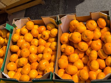 Marketteki karton kutularda taze portakallar. Mevsimlik meyve, doğal bolluk ve günlük hayatta sağlıklı vitamin kaynağı.