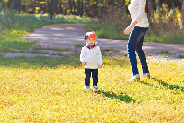 Fiatal Anya gyermekével egy őszi Park séta — Stock Fotó