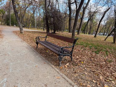 Sonbahar parkında boş bir bank. Yalnızlık, sakinlik ve yansıma dinlenmeyi ve şehir doğasında sessiz tefekkürü sembolize ediyor.