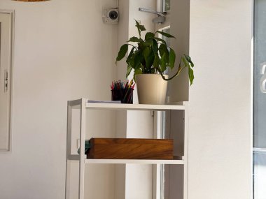 Saksı bitkisi ve renkli kalemlerle dolu beyaz bir raf. Basitlik, organizasyon ve İskandinav iç tasarımı