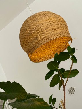 Beyaz duvara karşı örülmüş hasır bir abajur ve yeşil bir bitki. Doğal doku, rahat ışıklandırma ve çevre dostu iç mekan tarzı.