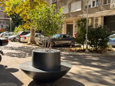 Şehir caddesinde yeşil çalıları olan modern siyah bitki yetiştiricisi. Kentsel manzara tasarımı, minimum geometri ve doğal uyum karşıtlığı