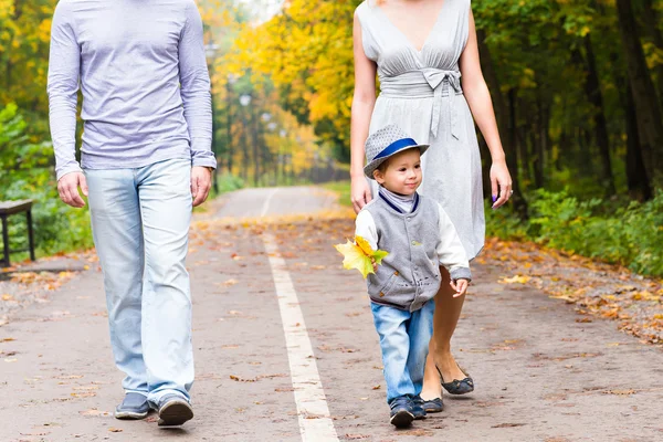 Familia joven para dar un paseo en el parque de otoño con el bebé — Foto de Stock